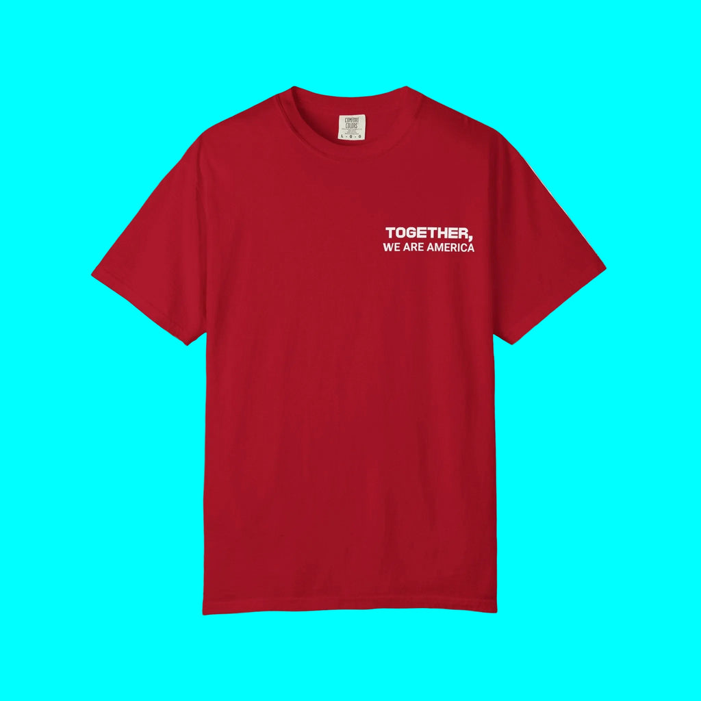 Together, We Are America T-shirt | All North, Central, & South American Flags | Unity Justice | Latino Pride Viral Tees