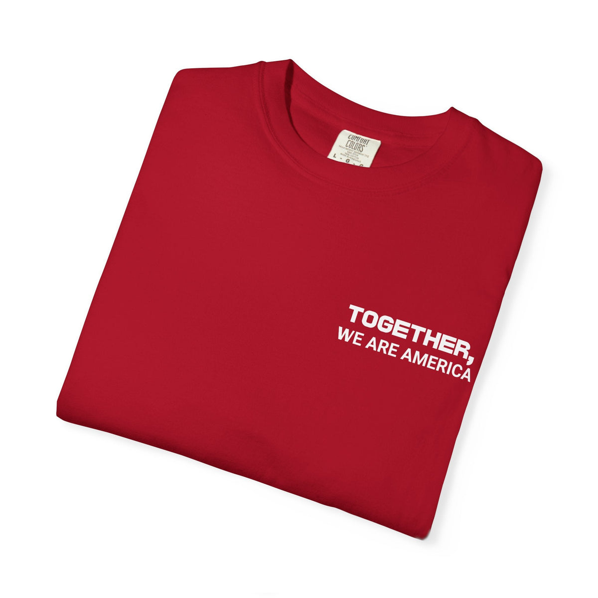 Together, We Are America T-shirt | All North, Central, & South American Flags | Unity Justice | Latino Pride Viral Tees