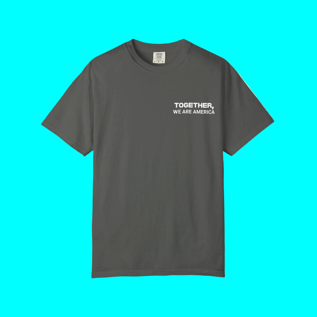 Together, We Are America T-shirt | All North, Central, & South American Flags | Unity Justice | Latino Pride Viral Tees